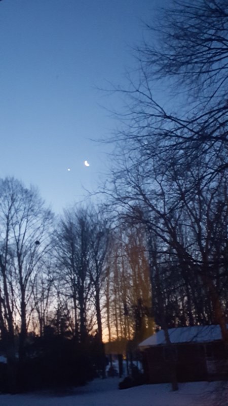 20190131_070617.jpg