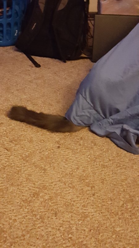 20190201_203827.jpg