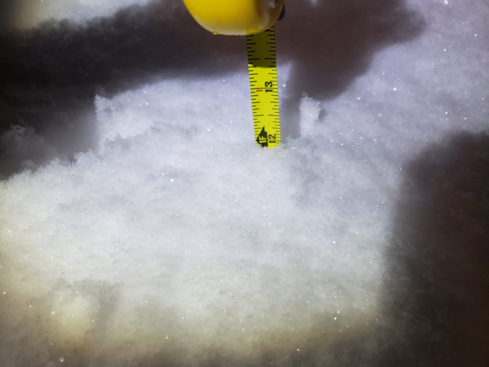 20190209_002919.jpg