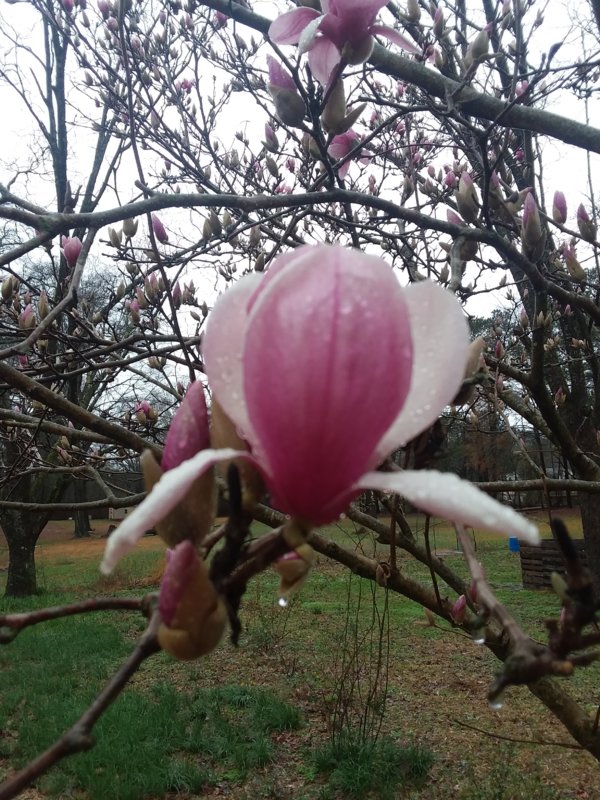 20190212_113845.jpg