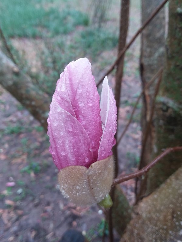 20190212_113943.jpg