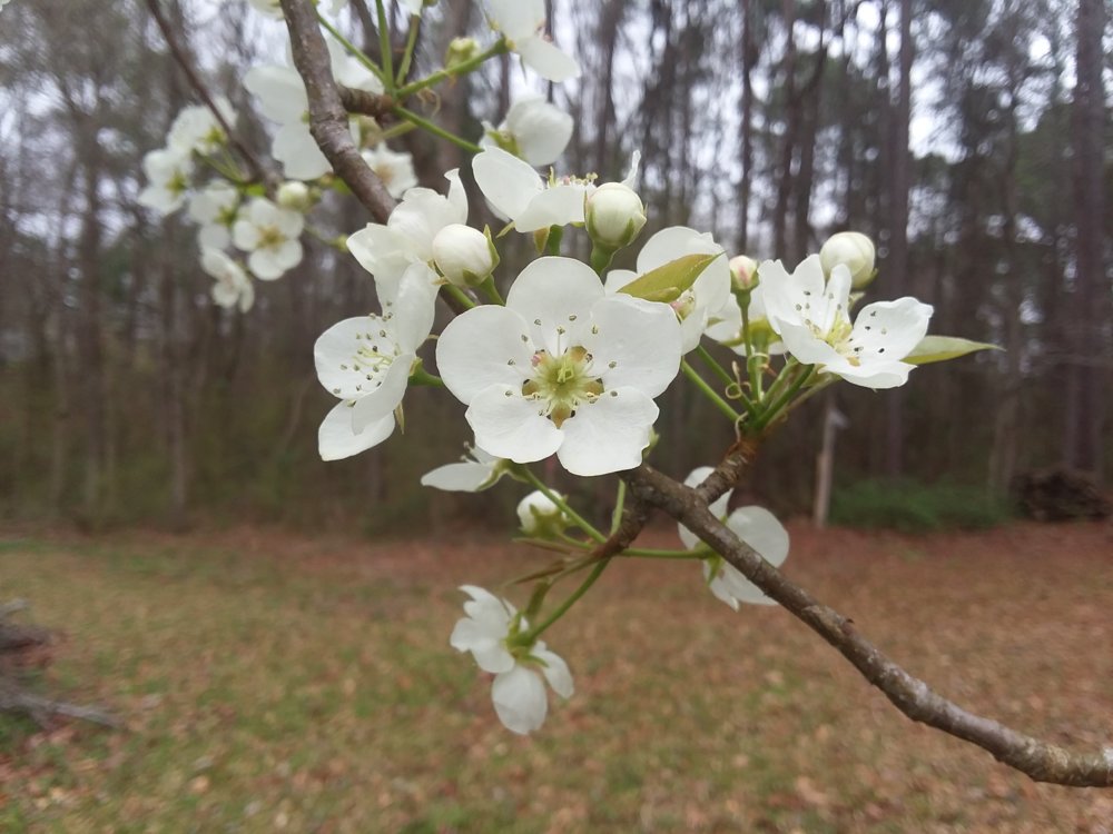 20190302_102241.jpg
