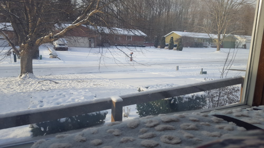 20190304_075938.jpg