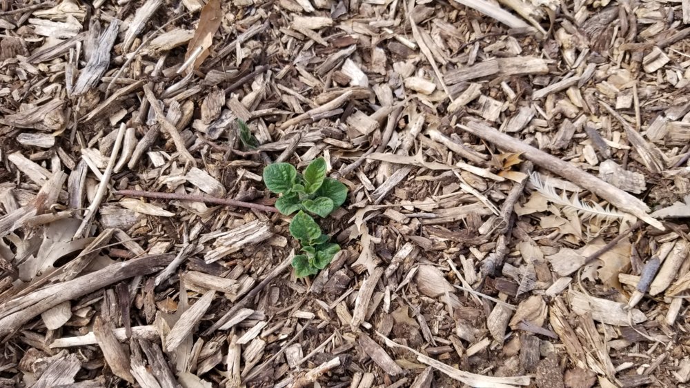 20190324_155720.jpg