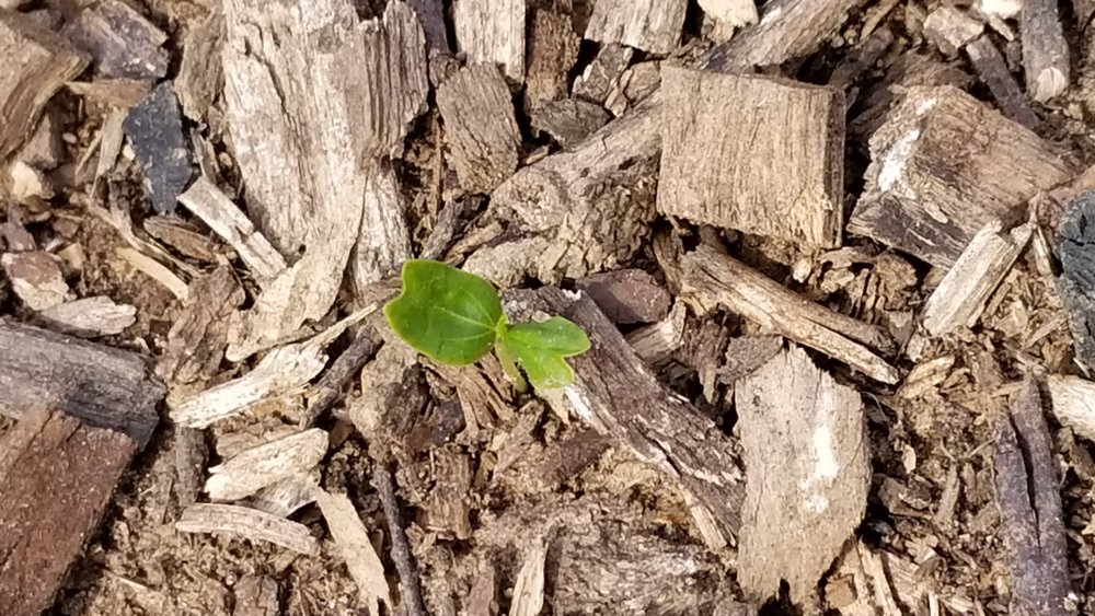 20190324_155800.jpg