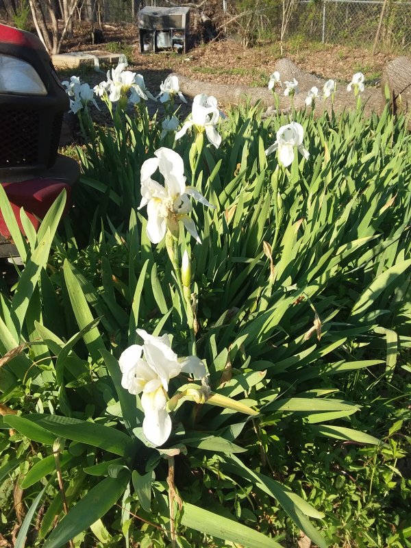20190324_172334.jpg