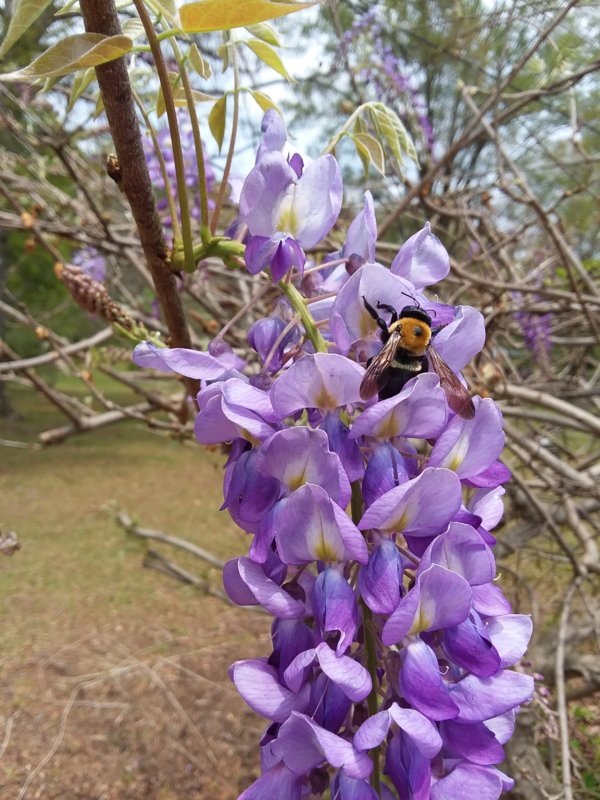 20190407_130055.jpg
