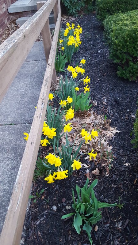 20190409_065755.jpg