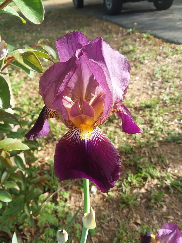 20190412_083955.jpg