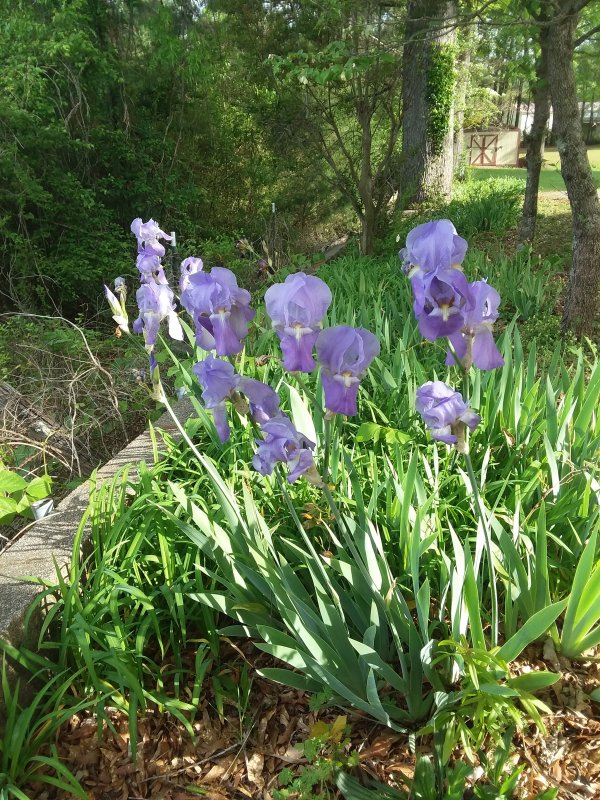 20190412_084025.jpg