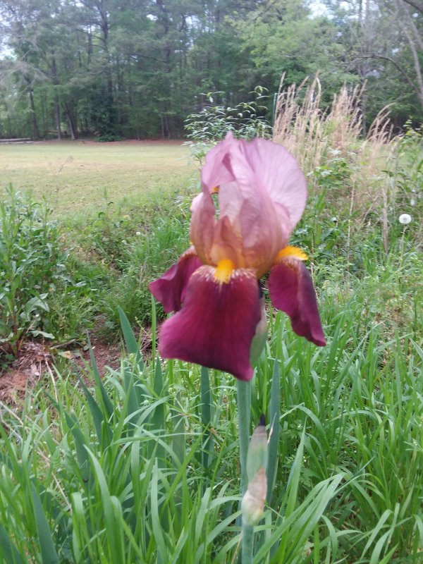 20190413_065305.jpg