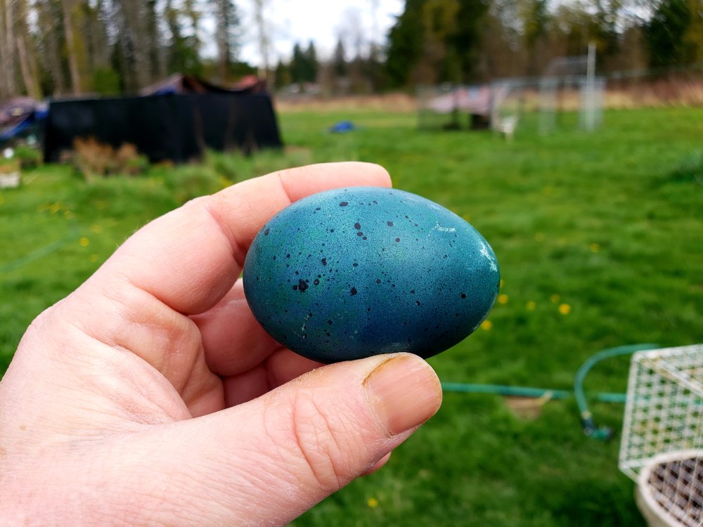 20190414_140203.jpg