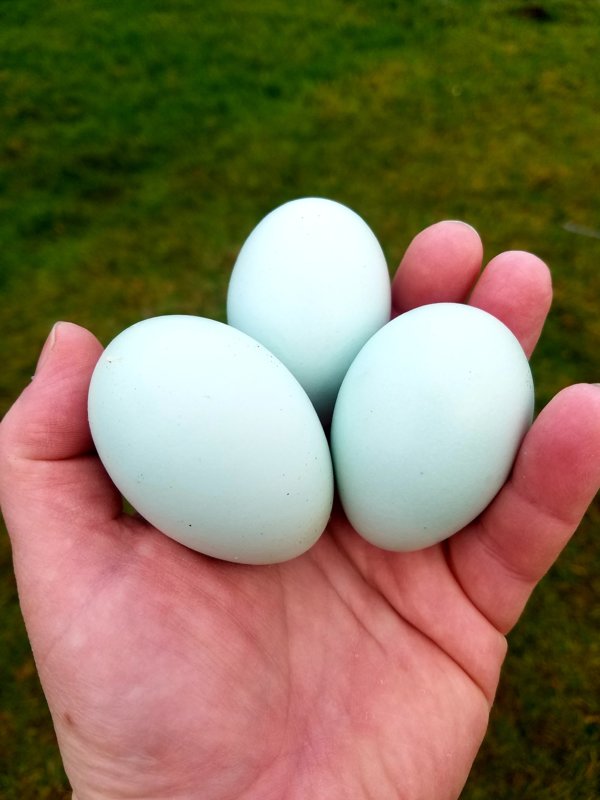 20190414_233603.jpg