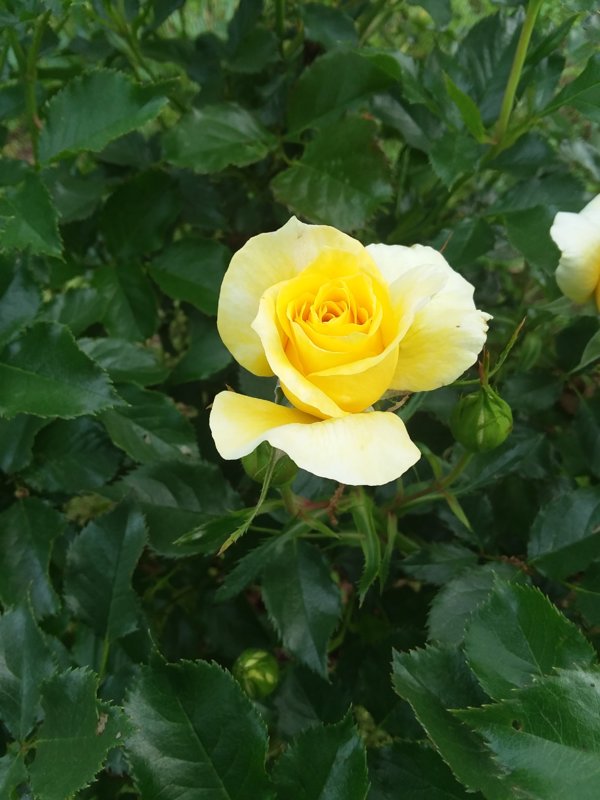 20190428_175116.jpg