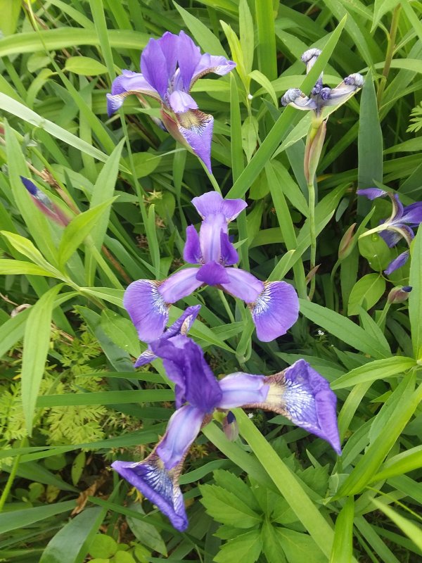 20190428_175518.jpg