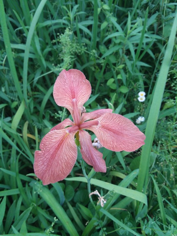 20190428_175526.jpg
