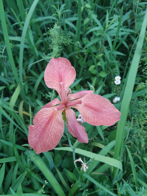 20190428_175526.jpg