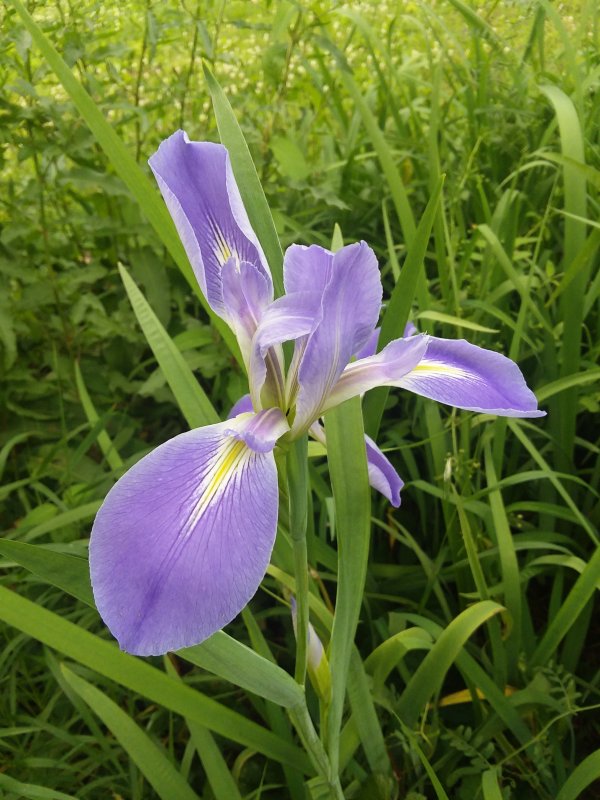 20190428_175535.jpg