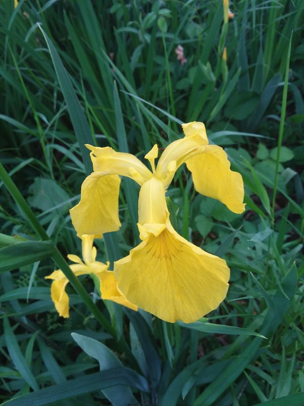 20190428_175554.jpg