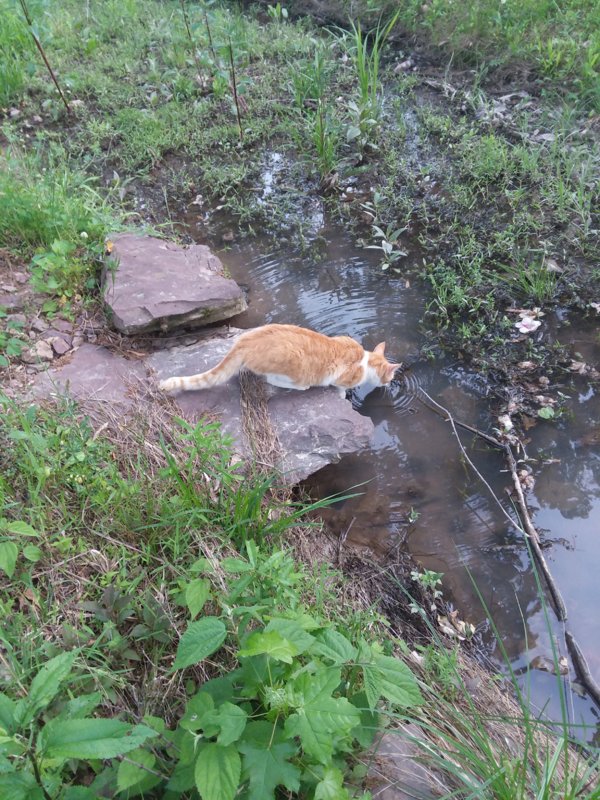 20190428_175828.jpg