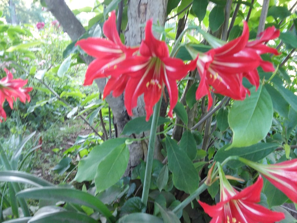 20190503_180225.jpg