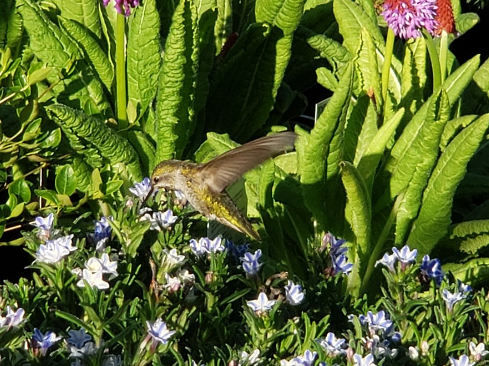 20190505_184915.jpg