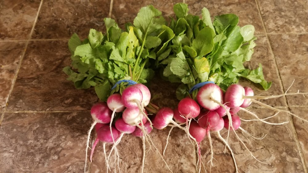 20190509_213534.jpg