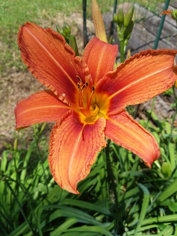 20190516_122118.jpg