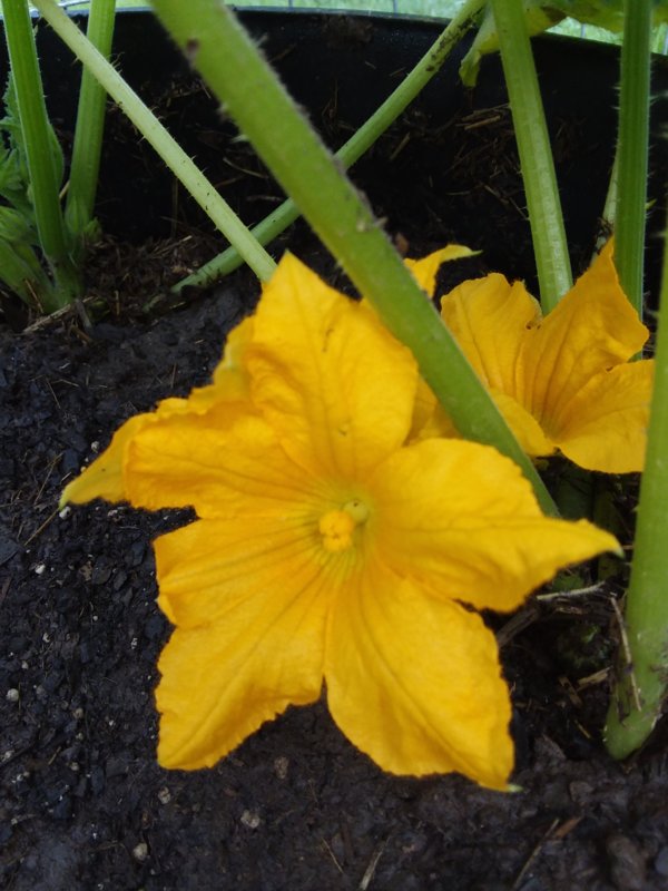 20190525_070006.jpg