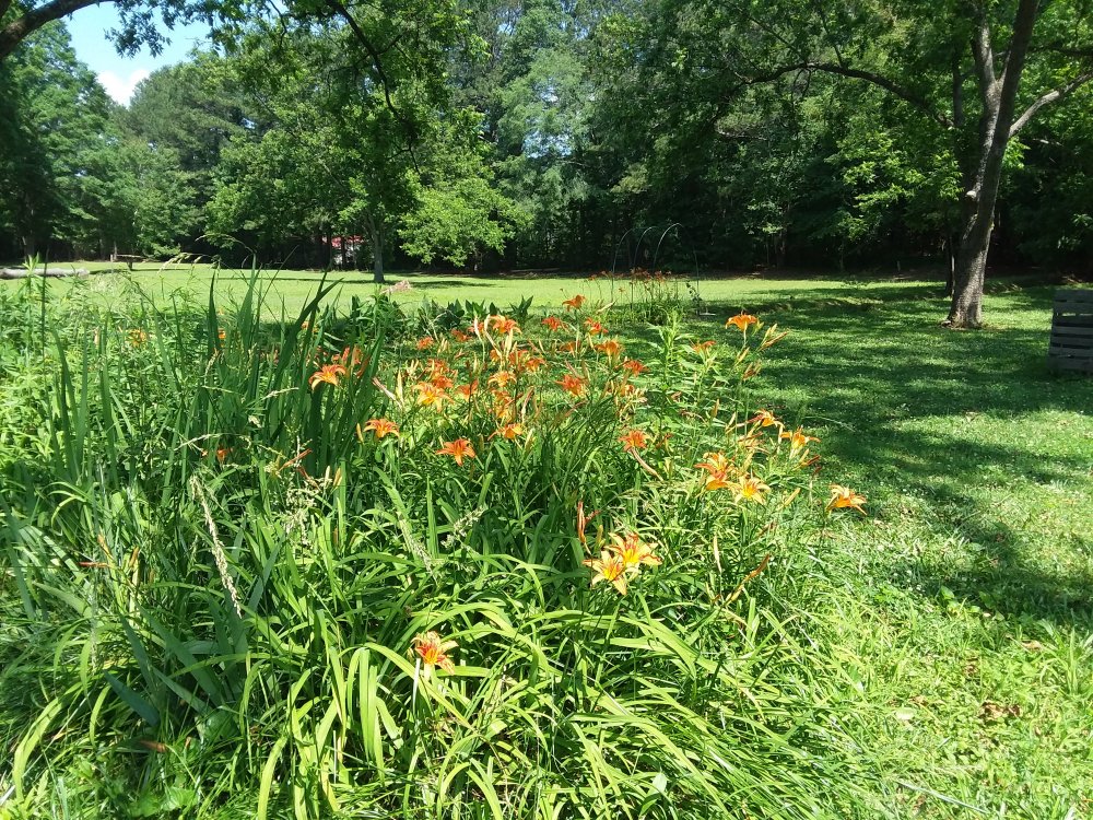 20190525_105108.jpg