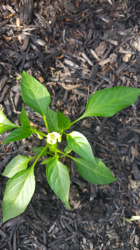20190529_185849.jpg