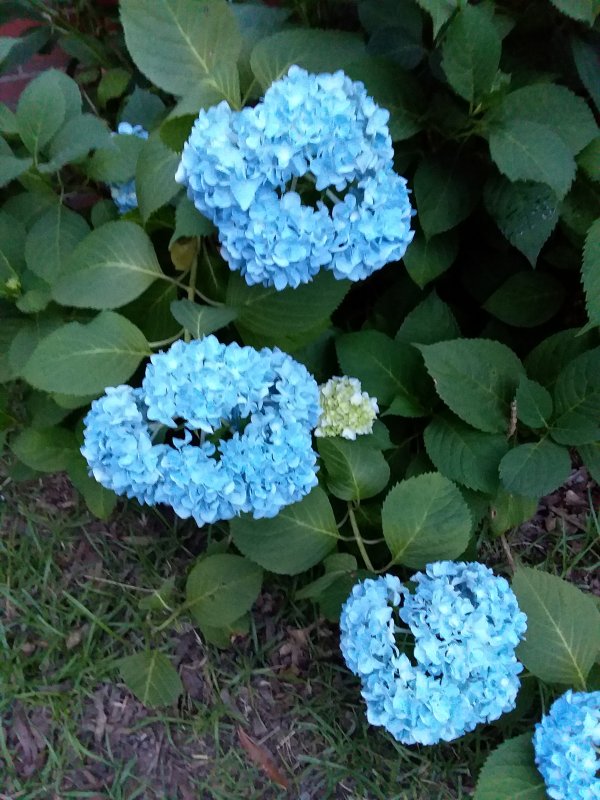 20190529_194603.jpg