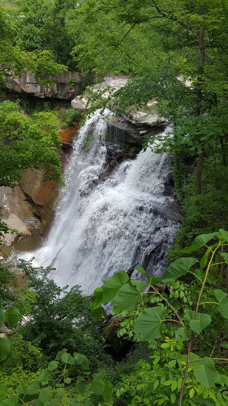 20190608_150137.jpg