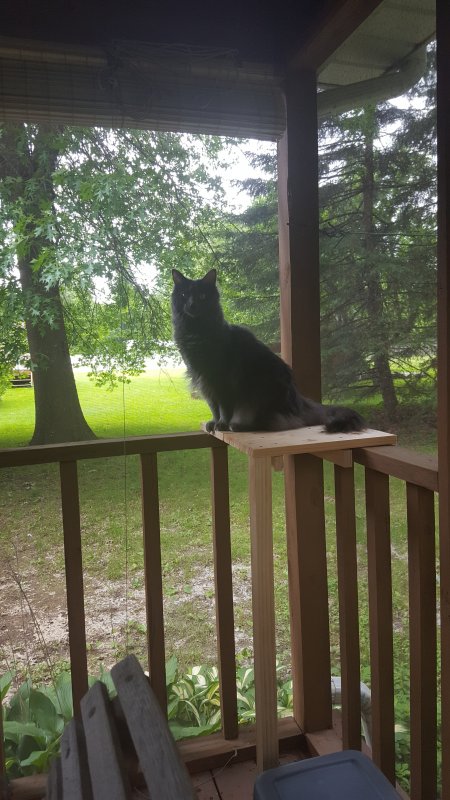 20190609_132621.jpg