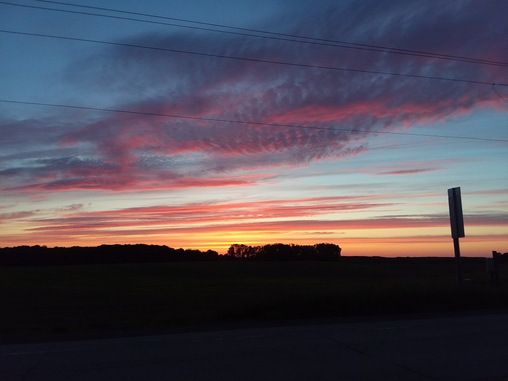 20190614_045929.jpg