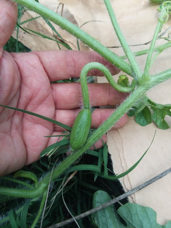 20190616_144403.jpg