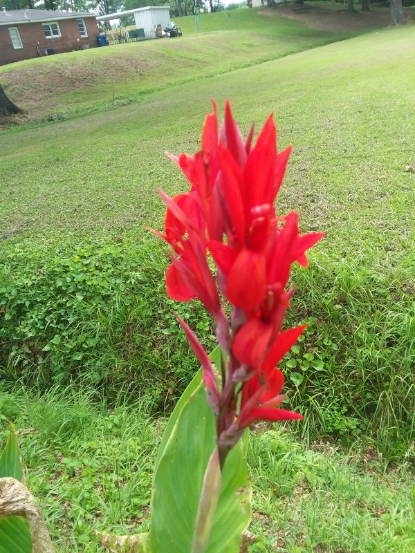 20190616_150023.jpg
