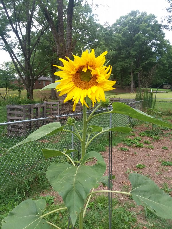 20190616_153027.jpg