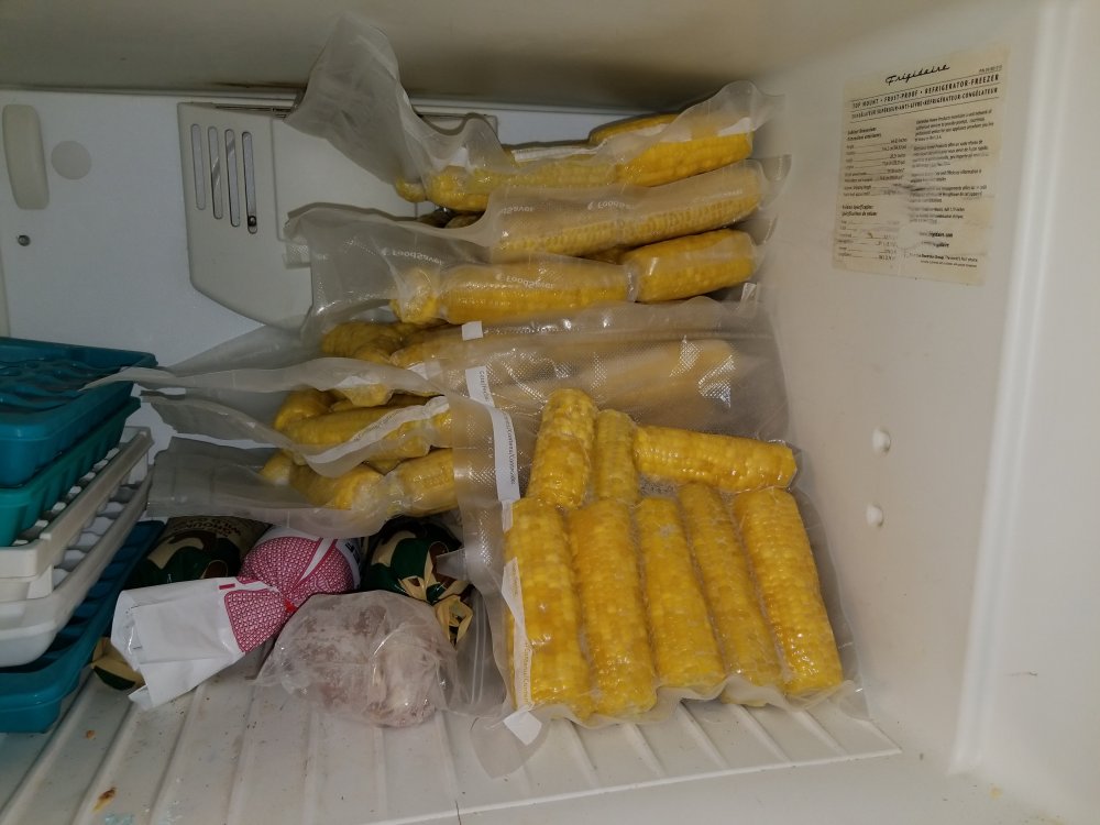 20190618_210539.jpg