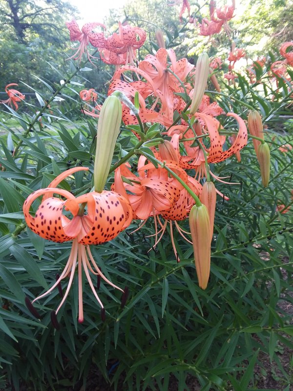 20190628_090928.jpg
