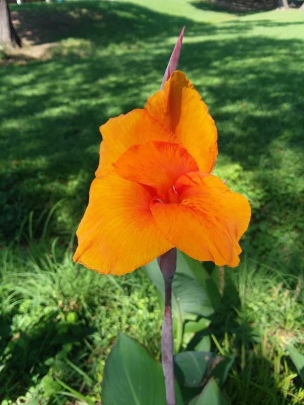 20190628_100624.jpg