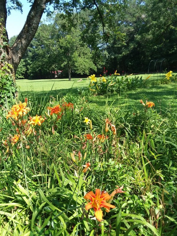 20190628_100826.jpg
