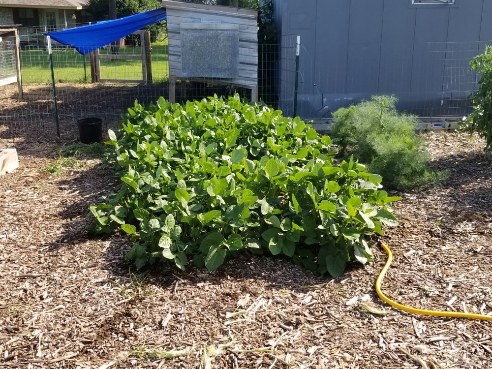20190628_172531.jpg