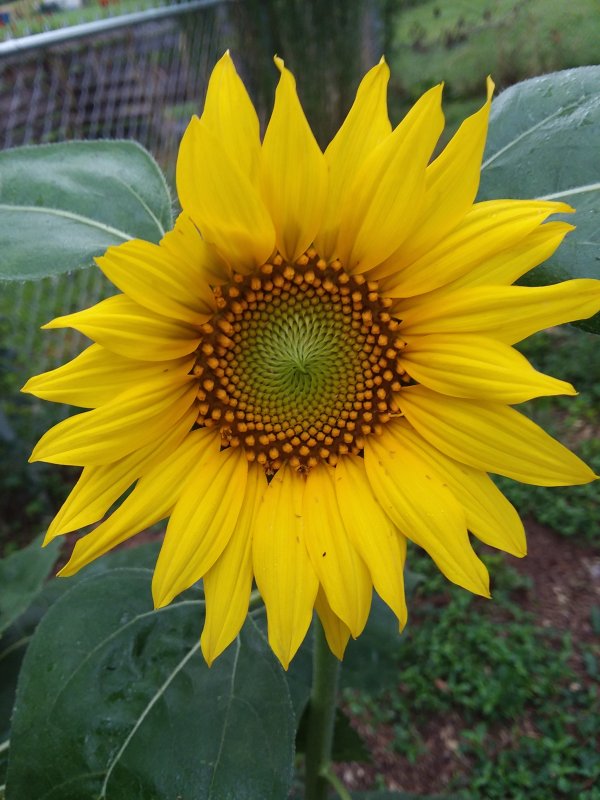 20190703_065208.jpg
