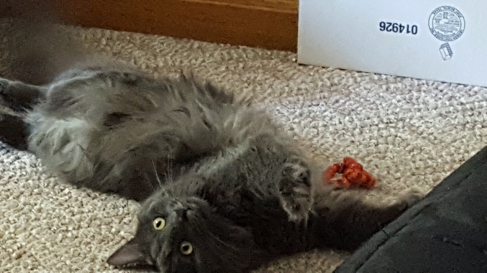 20190713_115925.jpg