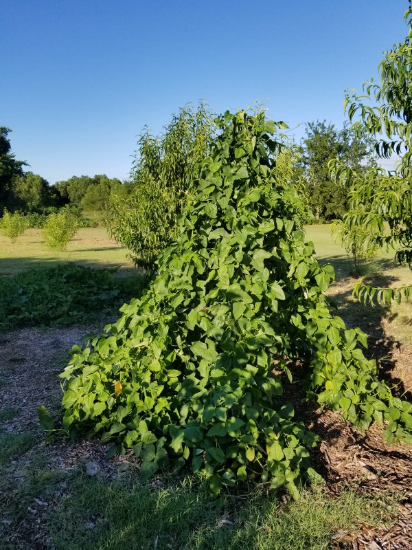 20190714_190202.jpg
