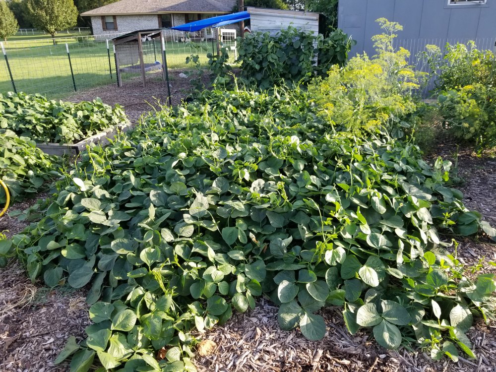 20190722_190126.jpg