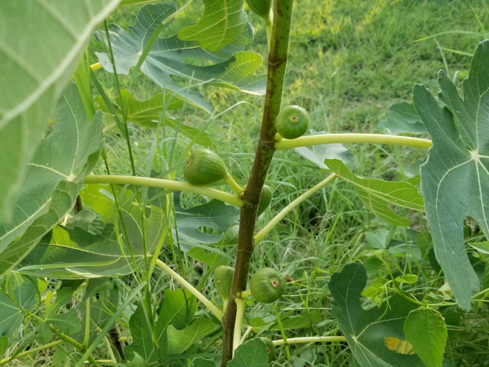 20190722_193035.jpg