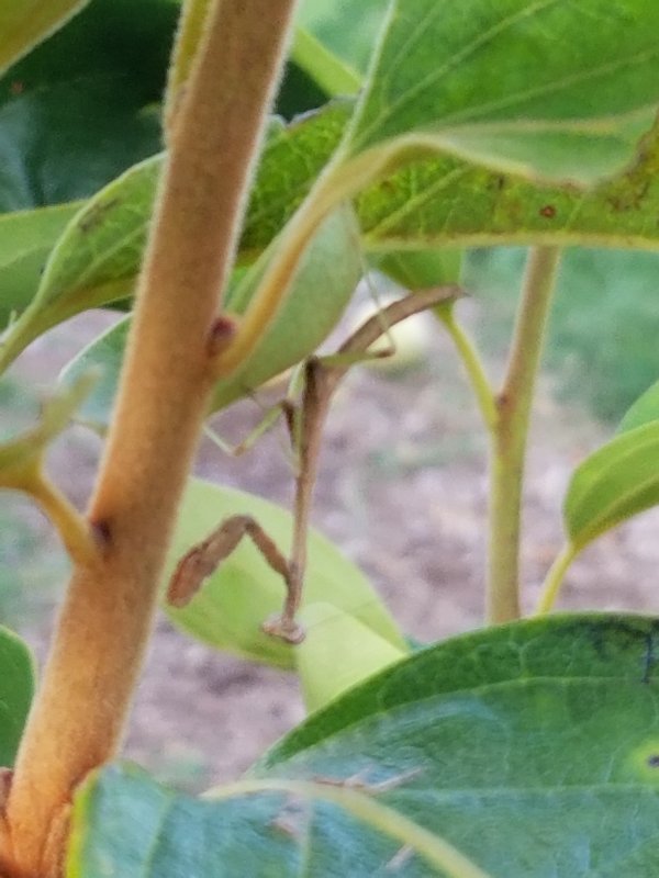 20190722_193236.jpg