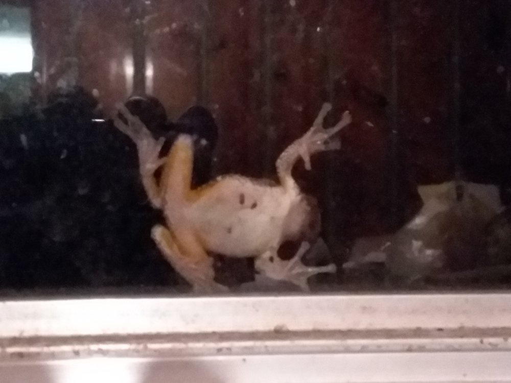 20190804_214711.jpg
